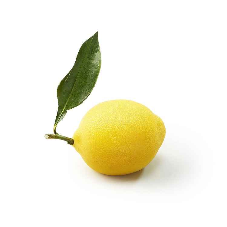 상큼한 레몬 한 알